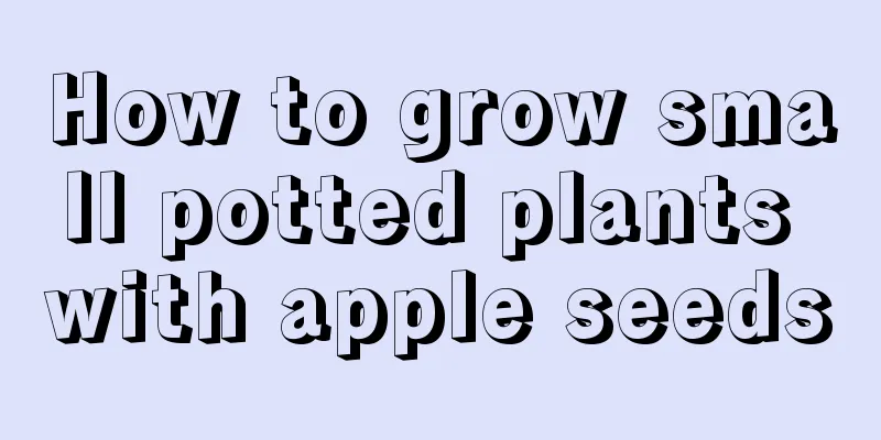 How to grow small potted plants with apple seeds