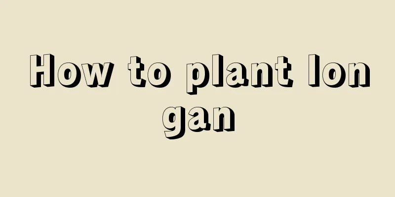 How to plant longan