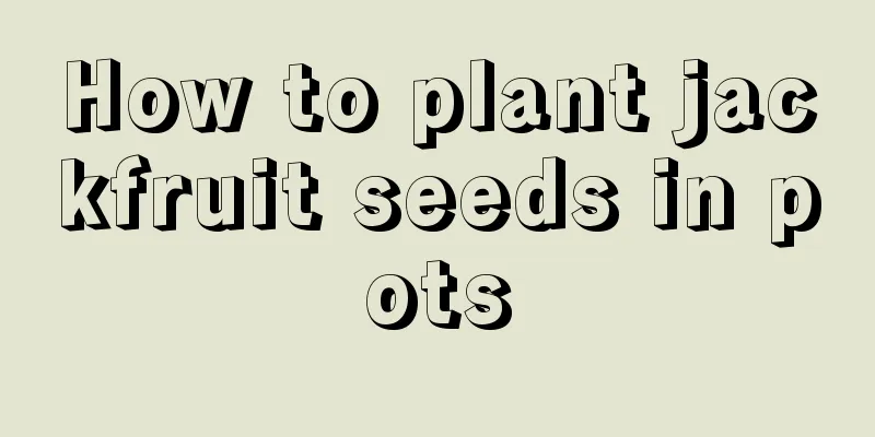 How to plant jackfruit seeds in pots