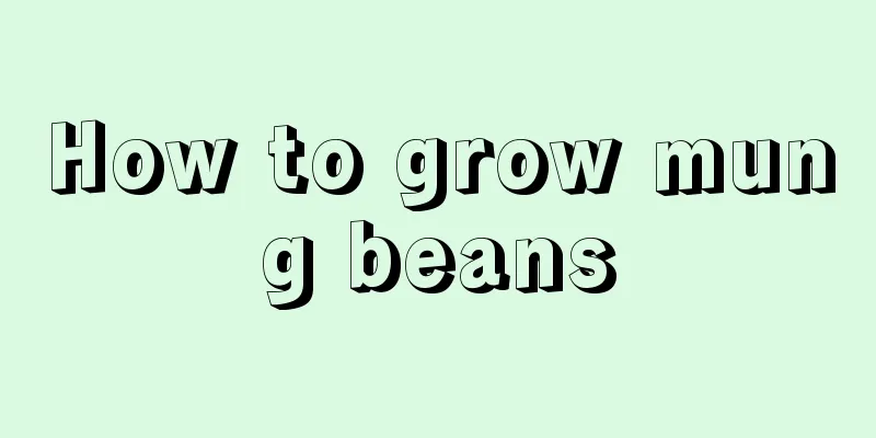 How to grow mung beans