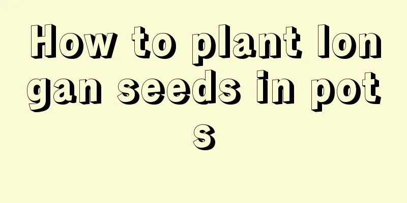 How to plant longan seeds in pots