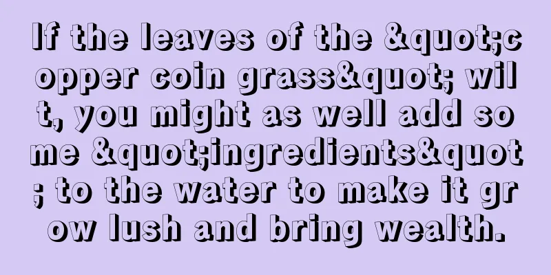 If the leaves of the "copper coin grass" wilt, you might as well add some "ingredients" to the water to make it grow lush and bring wealth.