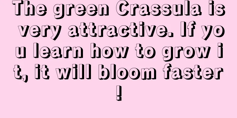 The green Crassula is very attractive. If you learn how to grow it, it will bloom faster!