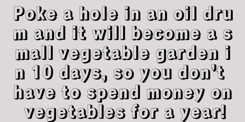 Poke a hole in an oil drum and it will become a small vegetable garden in 10 days, so you don’t have to spend money on vegetables for a year!