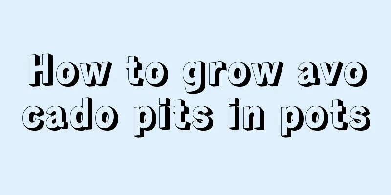 How to grow avocado pits in pots