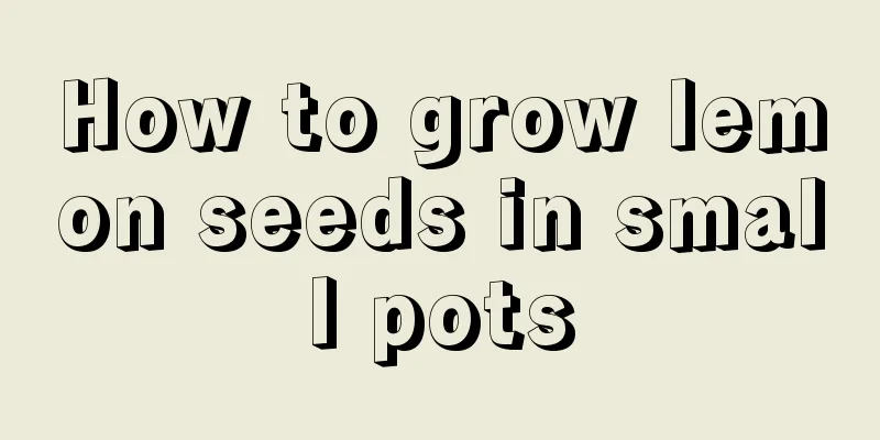 How to grow lemon seeds in small pots