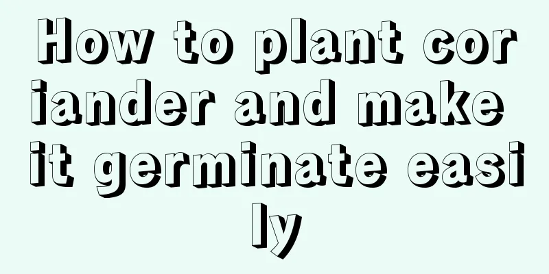 How to plant coriander and make it germinate easily