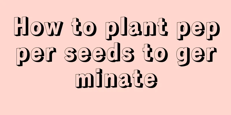 How to plant pepper seeds to germinate