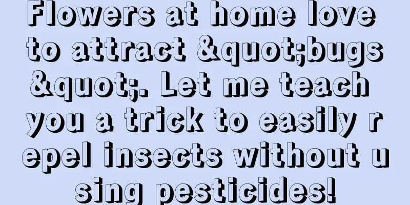 Flowers at home love to attract "bugs". Let me teach you a trick to easily repel insects without using pesticides!