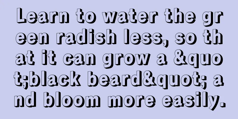 Learn to water the green radish less, so that it can grow a "black beard" and bloom more easily.