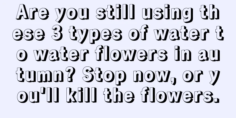 Are you still using these 3 types of water to water flowers in autumn? Stop now, or you'll kill the flowers.