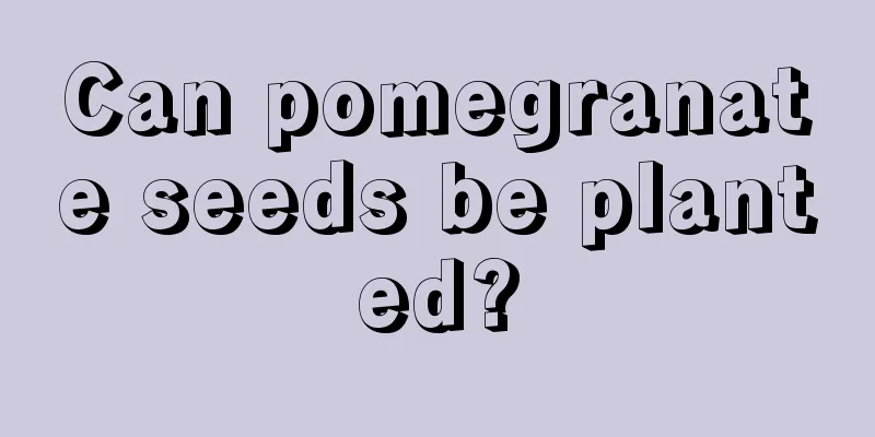 Can pomegranate seeds be planted?