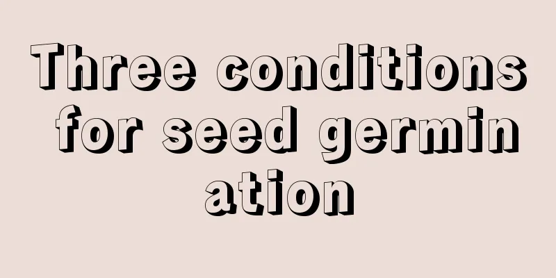 Three conditions for seed germination