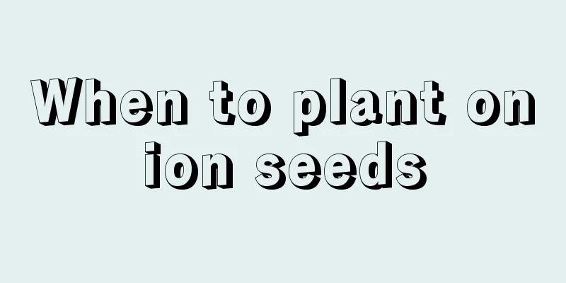 When to plant onion seeds