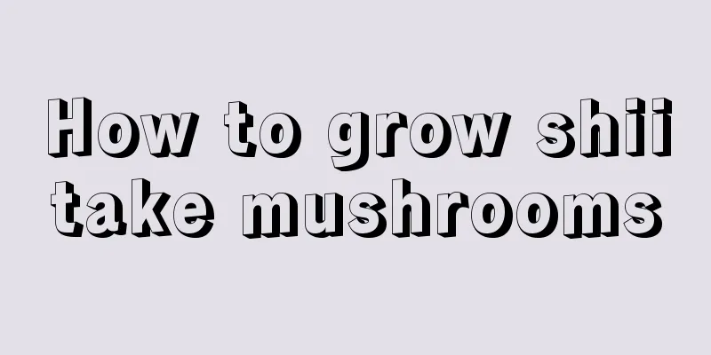 How to grow shiitake mushrooms