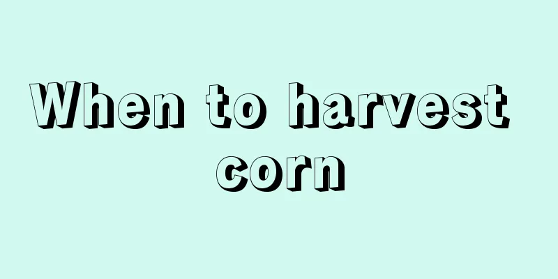 When to harvest corn