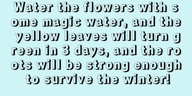 Water the flowers with some magic water, and the yellow leaves will turn green in 3 days, and the roots will be strong enough to survive the winter!