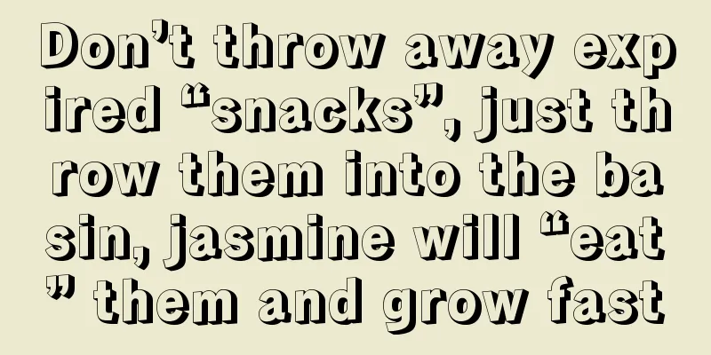 Don’t throw away expired “snacks”, just throw them into the basin, jasmine will “eat” them and grow fast