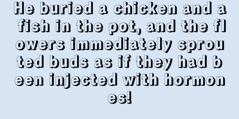 He buried a chicken and a fish in the pot, and the flowers immediately sprouted buds as if they had been injected with hormones!