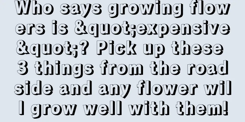 Who says growing flowers is "expensive"? Pick up these 3 things from the roadside and any flower will grow well with them!