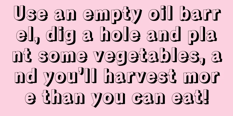 Use an empty oil barrel, dig a hole and plant some vegetables, and you’ll harvest more than you can eat!