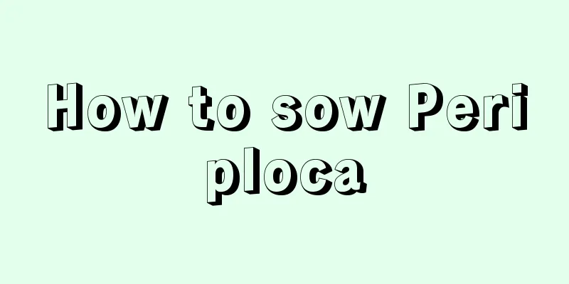 How to sow Periploca