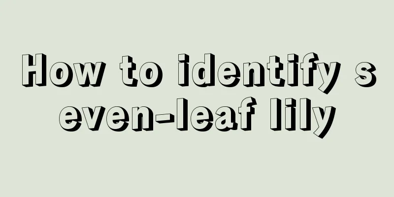 How to identify seven-leaf lily