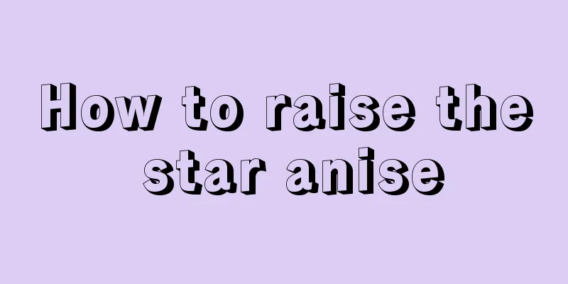 How to raise the star anise