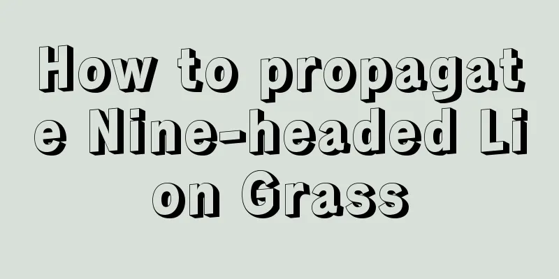 How to propagate Nine-headed Lion Grass