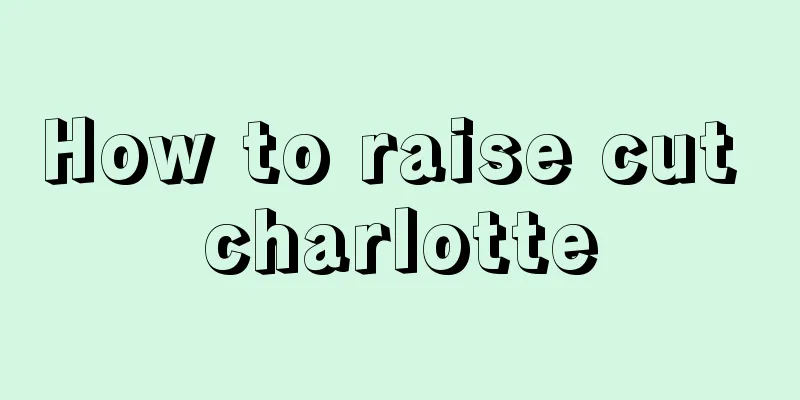 How to raise cut charlotte