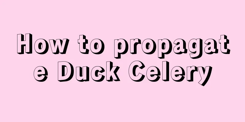 How to propagate Duck Celery