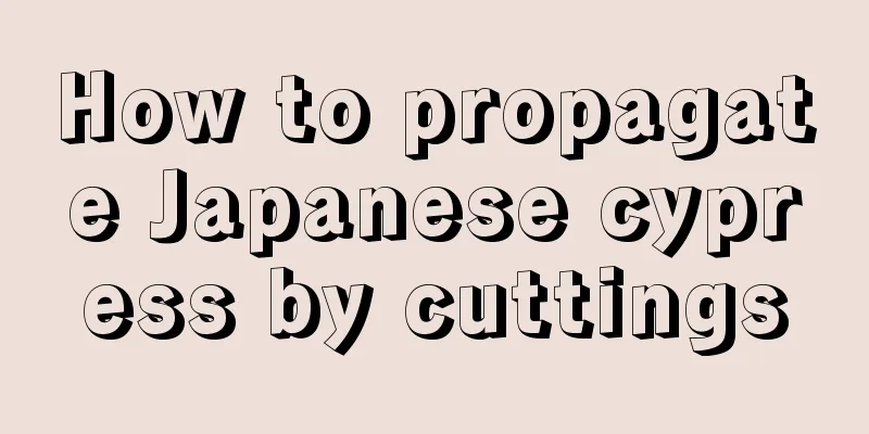 How to propagate Japanese cypress by cuttings