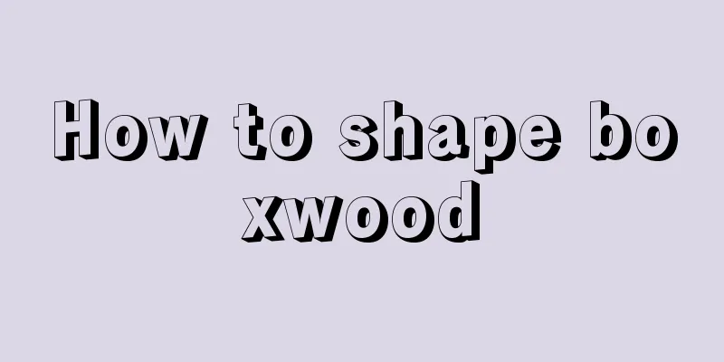 How to shape boxwood