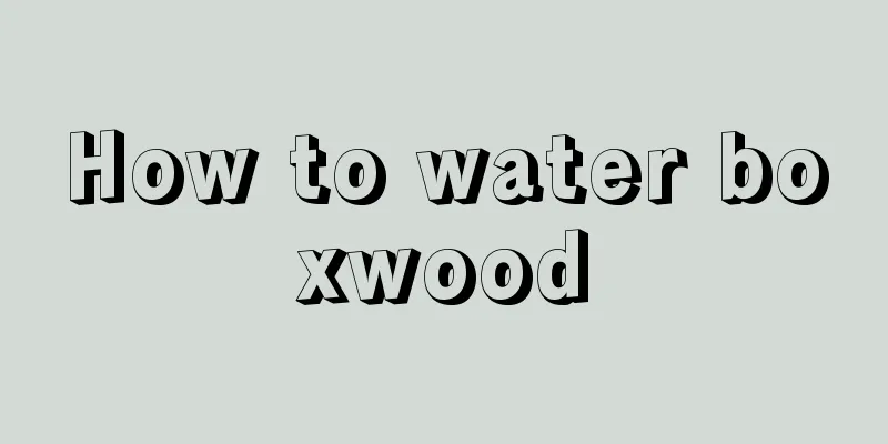 How to water boxwood