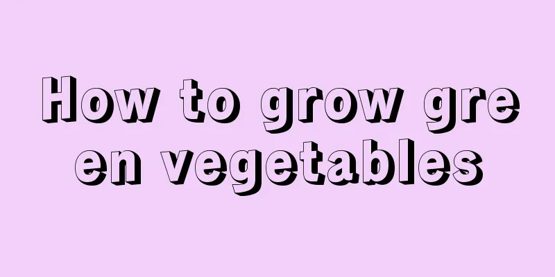 How to grow green vegetables