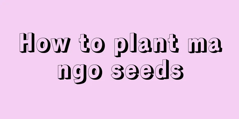 How to plant mango seeds