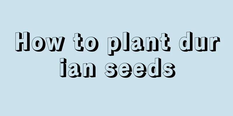 How to plant durian seeds