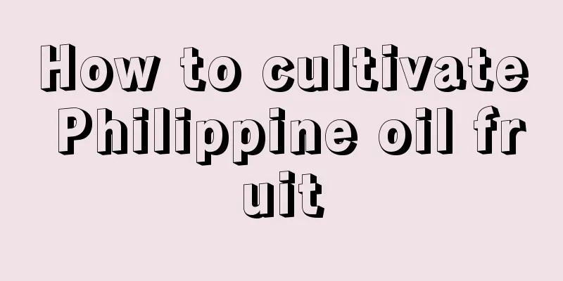 How to cultivate Philippine oil fruit