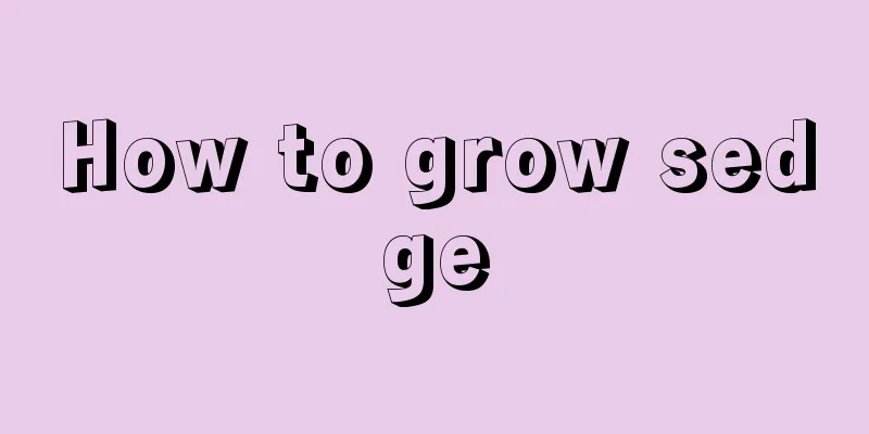 How to grow sedge