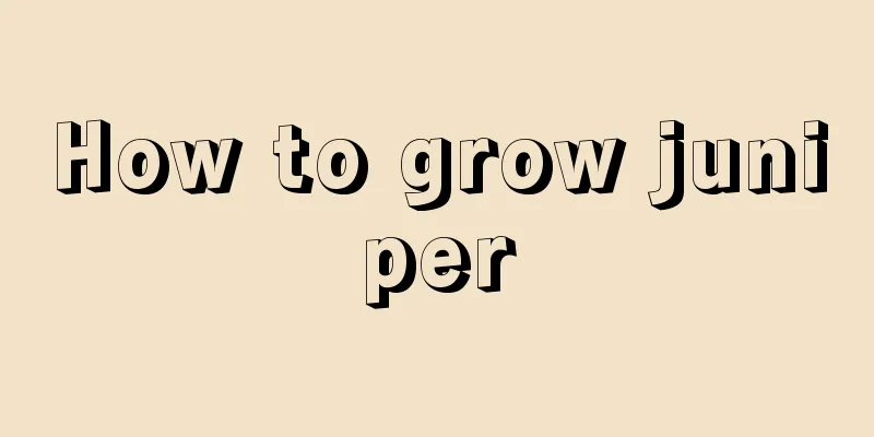 How to grow juniper