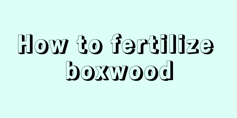 How to fertilize boxwood