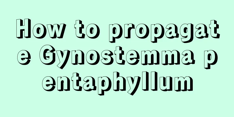 How to propagate Gynostemma pentaphyllum