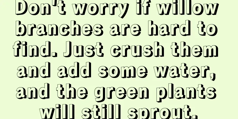 Don't worry if willow branches are hard to find. Just crush them and add some water, and the green plants will still sprout.