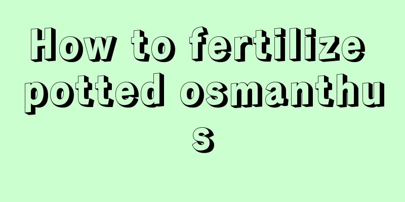 How to fertilize potted osmanthus