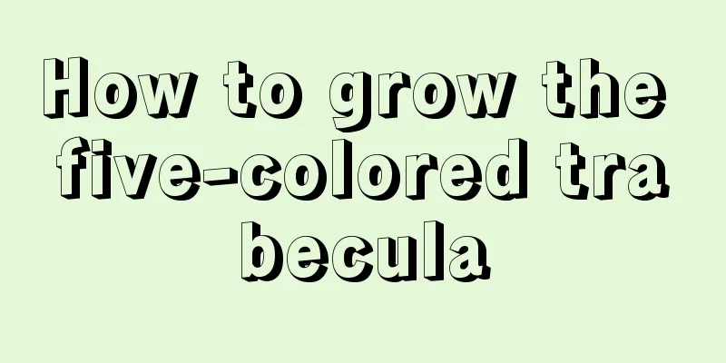 How to grow the five-colored trabecula