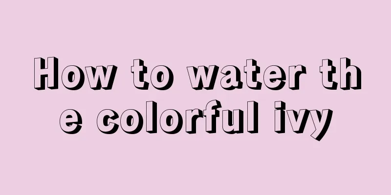 How to water the colorful ivy