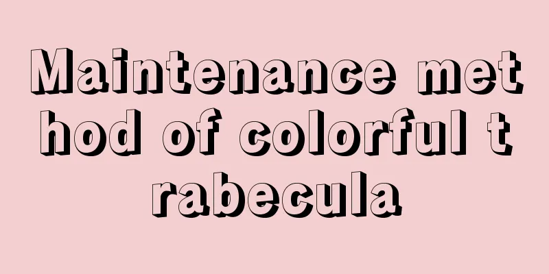 Maintenance method of colorful trabecula