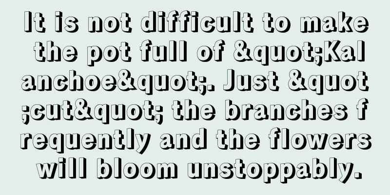 It is not difficult to make the pot full of "Kalanchoe". Just "cut" the branches frequently and the flowers will bloom unstoppably.