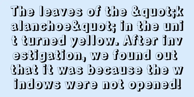 The leaves of the "kalanchoe" in the unit turned yellow. After investigation, we found out that it was because the windows were not opened!