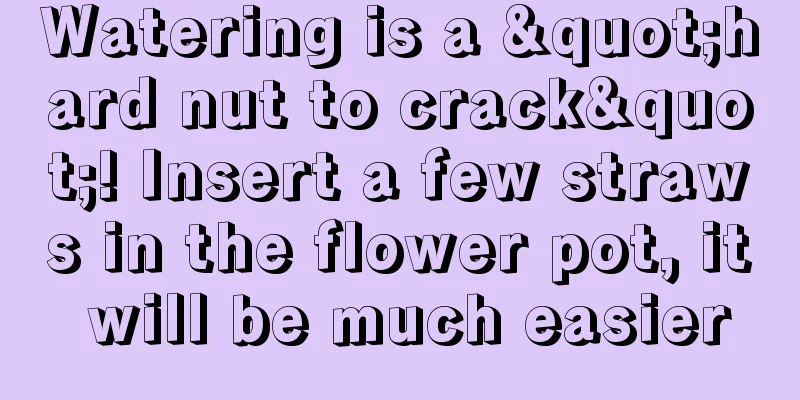 Watering is a "hard nut to crack"! Insert a few straws in the flower pot, it will be much easier